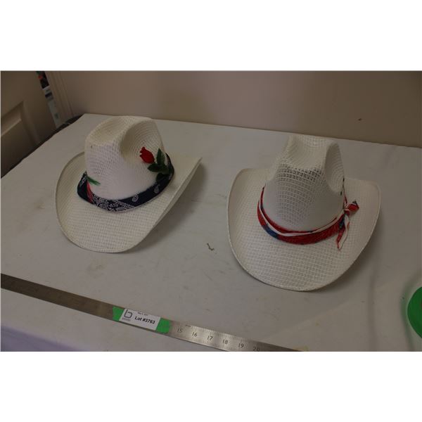 (2X THE MONEY) Cowboy Hats From Mexico