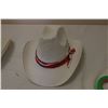 Image 2 : (2X THE MONEY) Cowboy Hats From Mexico