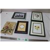 Image 1 : 5 Pictures in Frames