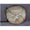 Image 2 : Indigenous War Dance Shield with Painted Buffalo Skull