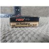 Image 2 : 223 Remington PMC 55 gr FMJ - Box of 20