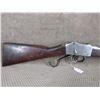 Image 5 : Non-Restricted - Martini-Henry in 577/450???