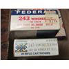 Image 2 : 69 Rounds Of .243 Ammo- 100 GR SP