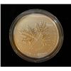 Image 2 : 2011 10 Dollar 1/2Oz Fine Silver Coin-Maple Leaf Forever