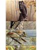 Image 1 : 5 POSTAGE PAID POST CARDS