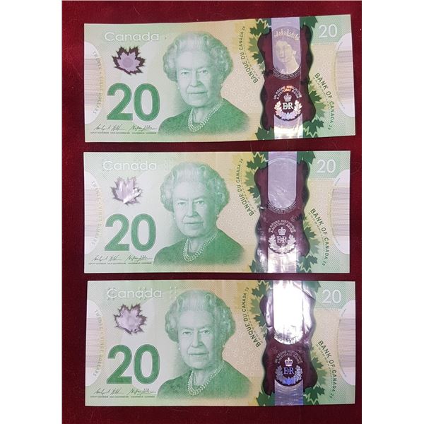 3 X 2013 Canadian 20 Dollar Bills, one with queen in holographic strip