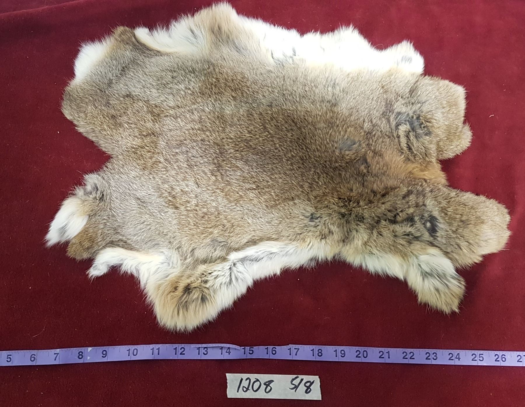 Rabbit Skin - Schmalz Auctions
