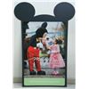 Image 1 : Disneyland "Magic for Days" Park Sign