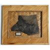 Image 1 : Disneyland Jungle Cruise Elephant Skin Prop