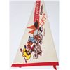 Image 2 : Disneyland Frontierland Goofy Pennant