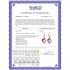 Image 2 : Genuine 21.68 ctw Amethyst & Diamond Earrings 14KT White Gold - REF-61N3R