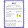 Image 2 : Genuine 21.5 ctw Quartz Lemon Earrings 14KT Yellow Gold - REF-33X7M