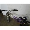 Image 8 : BLACK MITYMITE RALEIGH AND PURPLE TECH TEAM KIDS BIKES