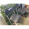 Image 2 : 2 FOLDING CHAIRS
