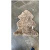 Image 1 : LIGHT BROWN SHEEP SKIN RUG