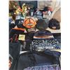 Image 4 : Harley Davidson - 6 Hats, 4 Short Sleeve Shirts (XXL), Scarves, Shorts, Fleece Pants