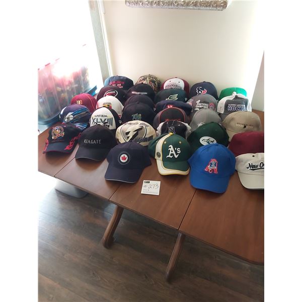 Assorted Ball Cap Collection x30