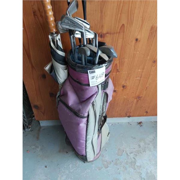 Wilson Golf Clubs Package