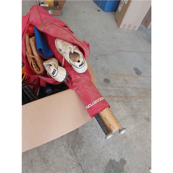 Assorted Remote Control Cars - Bats x3 (2 Wooden & 1 Aluminum)