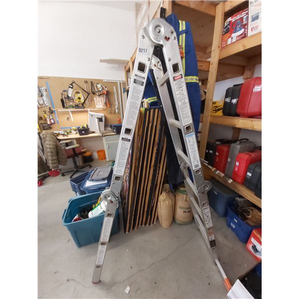 Krause Multimatic 12ft Ladder