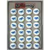 Image 1 : 24 BLUE AIRPLANE PICTURE BUTTONS 1930-40 CARD #1766795