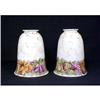 Antique Pair Glass Shades Flowers Fruit #1780152