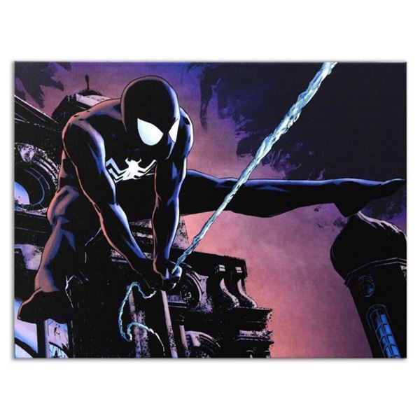 Marvel Comics  The Amazing Spider-Man #637  Numbered Limited Edition Giclee on Canvas by Michael Lar