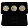 Image 1 : 2017 $20 Locomotives Across Canada 3-coin Fine Silver Set with Gold Plating in Deluxe Tin Display Bo