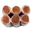 Image 1 : 2007 Canada 1-cent Original Rolls of 50pcs. 6 rolls