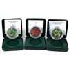 Image 1 : 2001, 2002 & 2003 Canada 1oz Coloured Fine Silver Maples (2002 & 2003 coins are toned, capsules ligh