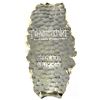 Image 1 : 5oz Scottsdale Mint Tombstone .999 Fine Silver Nugget in Drawstring Bag. (TAX Exempt)
