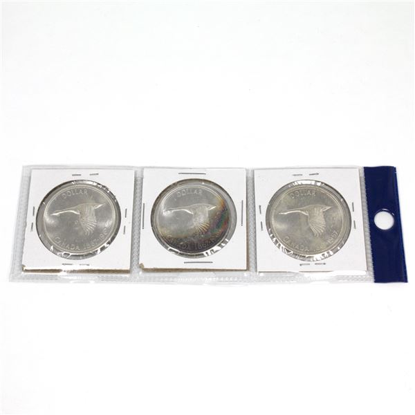 Unique Lot of 1967 Canada Silver Dollars with Rainbow Toning on One Side and Mostly White on the Oth