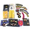 Image 1 : Lot of 29x International and Canadian Patches and Shoulder Cords. See description for more informati