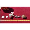Image 2 : Lot Shells & Coral
