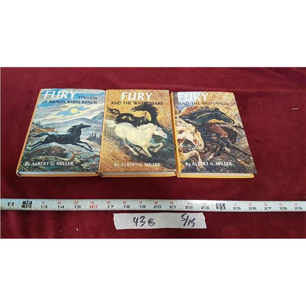 Lot Fury Stallion Books