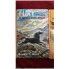 Image 3 : Lot Fury Stallion Books