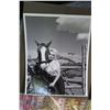 Image 2 : Lone Ranger & Marylin Munroe Prints + 50's Style Decorations
