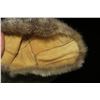 Image 4 : Hide Slipper & 2 Leather Finger Covers