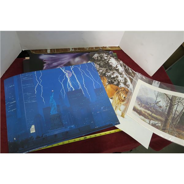 Lot Misc. Photos/Wall Hangings/Prints 16"×20"