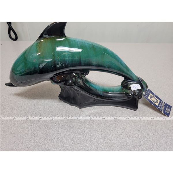 Blue Mountain dolphin (with tag)