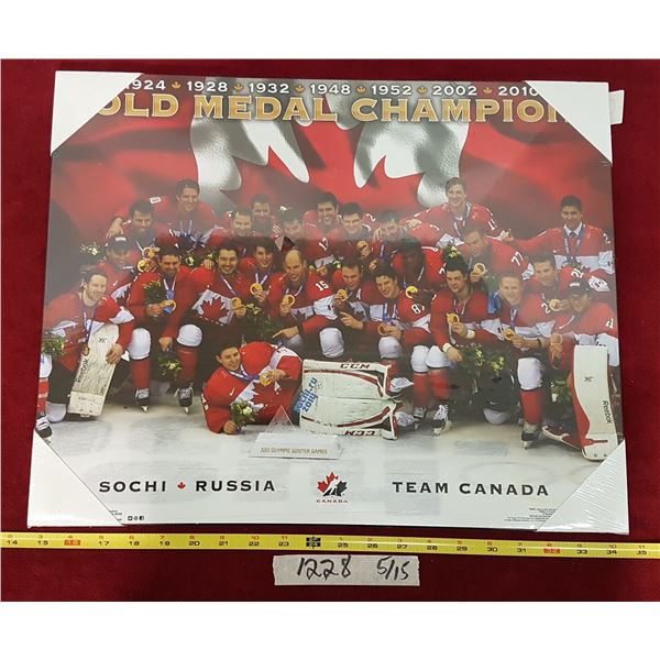 2014 Team Canada Wall-hanging