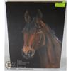 Image 1 : SIGNED ORIGINAL PAINTING OF A BAY HORSE 20 X 16"