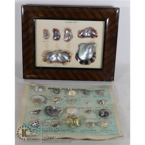 VINTAGE ENCASED CULTURED PEARLS
