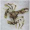 Image 2 : SCORPIAN RHINESTONE BROOCH