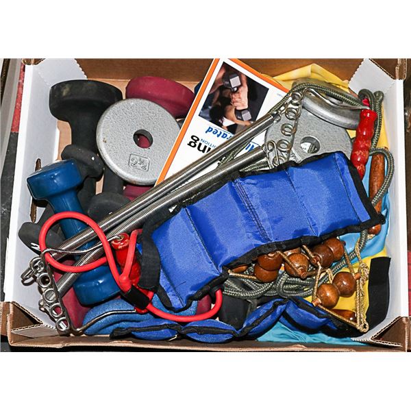 FLAT OF WEIGHTS  AND WORKOUT EQUIPMENT