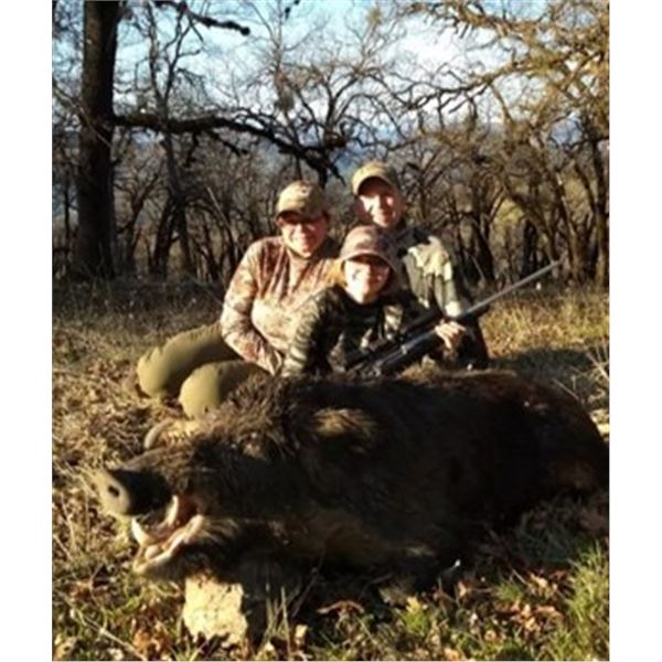 Guided California Wild Pig Hunt For 2 Hunters