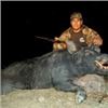 Image 3 : Guided California Wild Pig Hunt For 2 Hunters