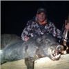 Image 4 : Guided California Wild Pig Hunt For 2 Hunters