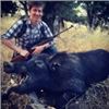 Image 5 : Guided California Wild Pig Hunt For 2 Hunters