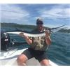 Image 5 : 6 Day All Inclusive Fishing Trip in Mexico for 2